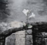 Small Wins Create Big Momentum in Personal Growth