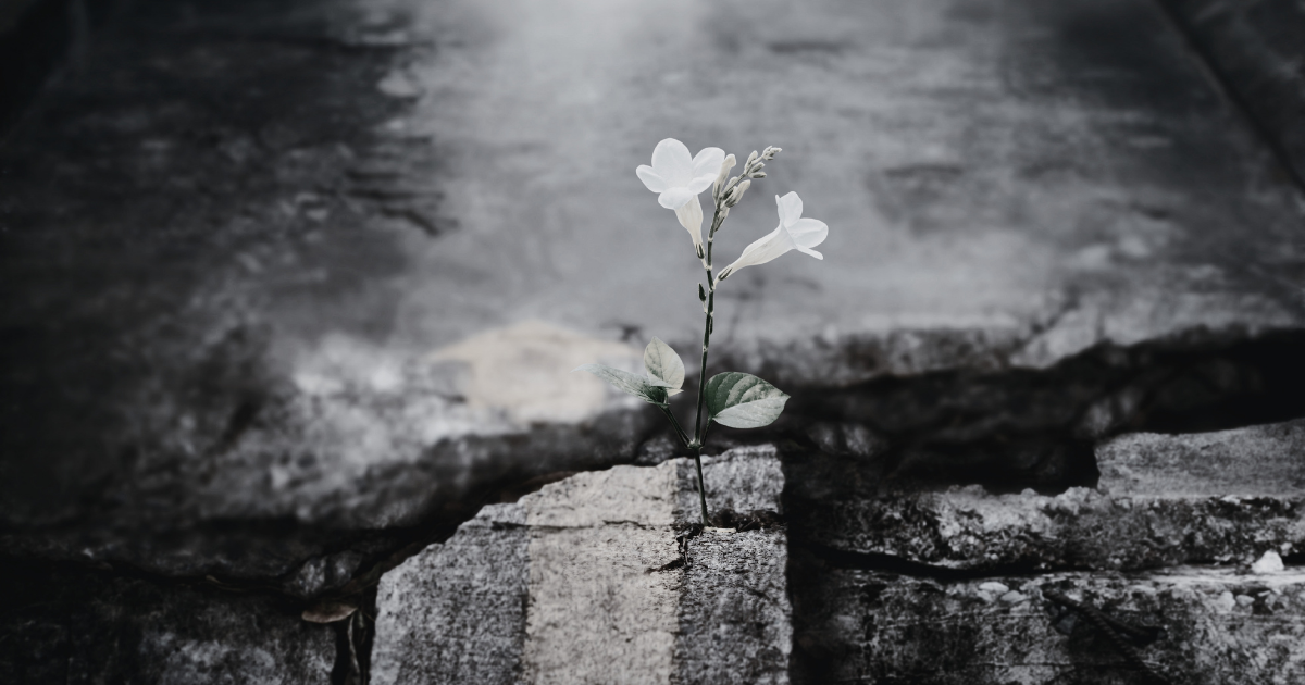 Small Wins Create Big Momentum in Personal Growth