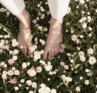 Career Fulfillment | When Success No Longer Fits
