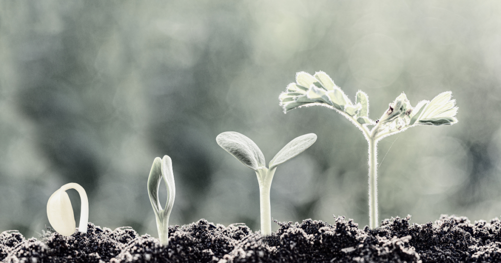 Career Fulfillment | When Success No Longer Fits